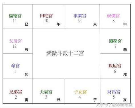 紫微斗數 身體部位|紫微斗數的基礎教程